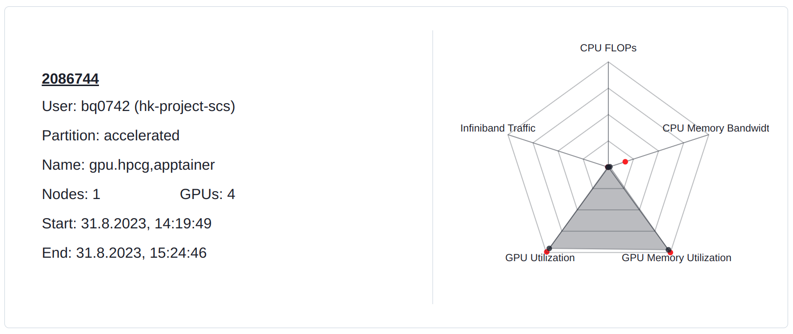 Job Overview for Memory Bound GPU-Job